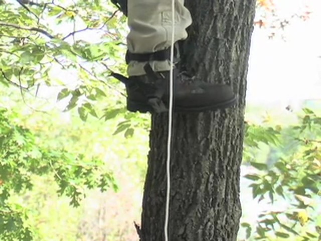 Pair of Sport Climbers AND Climbing Belt / Lanyard - image 6 from the video